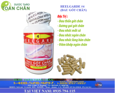 Đau Thốn Gót Chân Là Nguyên Nhân Từ Đâu Và Cách Điều Trị